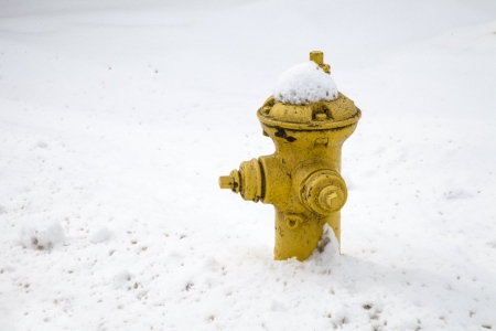 Fire hydrant in snow